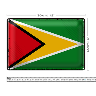 Blechschild Flagge Guyana 30x20cm Retro Flag of Guyana
