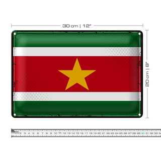 Blechschild Flagge Suriname 30x20cm Retro Flag of Suriname