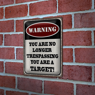 Blechschild Spruch 20x30cm Warning you no longer you target