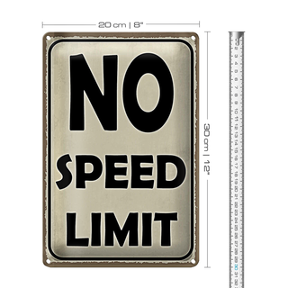 Blechschild Spruch 20x30cm No speed limit