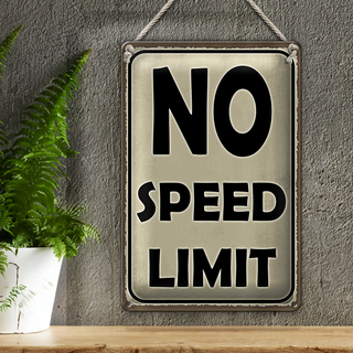 Blechschild Spruch 20x30cm No speed limit