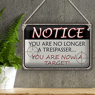 Blechschild Spruch 30x20cm notice you no longer trespasser