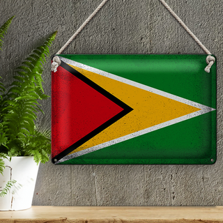 Blechschild Flagge Guyana 30x20cm Flag of Guyana Vintage