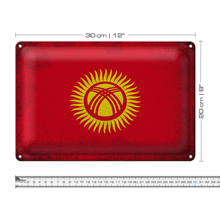 Blechschild Flagge Kirgisistan 30x20cm Kyrgyzstan Vintage