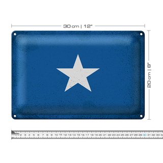 Blechschild Flagge Somalia 30x20cm Flag of Somalia Vintage