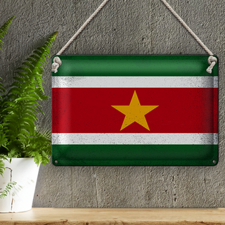 Blechschild Flagge Suriname 30x20cm Flag Suriname Vintage