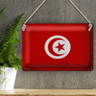 Blechschild Flagge Tunesien 30x20cm Flag of Tunisia Vintage