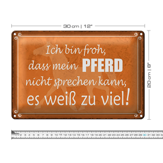 Blechschild Spruch 30x20cm bin froh mein Pferd nicht spricht