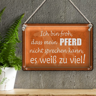 Blechschild Spruch 30x20cm bin froh mein Pferd nicht spricht