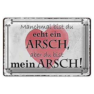 Blechschild Spruch 30x20cm manchmal bist du ein ARSCH aber