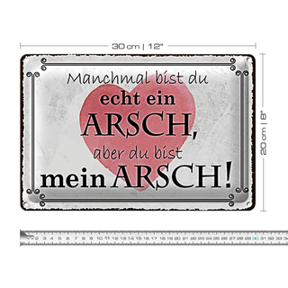 Blechschild Spruch 30x20cm manchmal bist du ein ARSCH aber