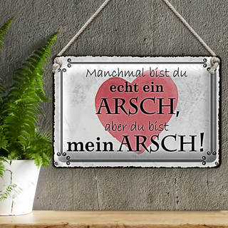 Blechschild Spruch 30x20cm manchmal bist du ein ARSCH aber