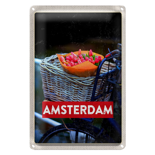 Blechschild Reise 20x30cm Retro Amsterdam Tulpen Fahrrad