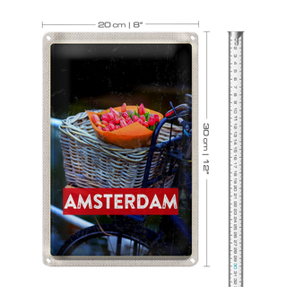 Blechschild Reise 20x30cm Retro Amsterdam Tulpen Fahrrad