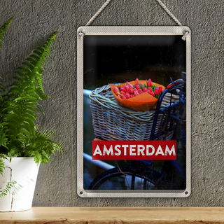 Blechschild Reise 20x30cm Retro Amsterdam Tulpen Fahrrad