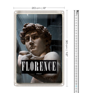Blechschild Reise 20x30cm Florence Italy David Michelangelo