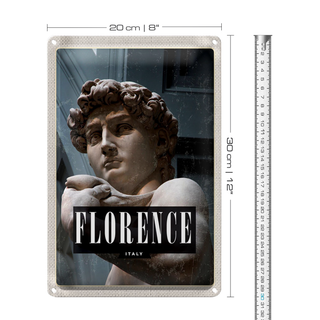 Blechschild Reise 20x30cm Florence Italy David Michelangelo