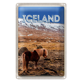 Blechschild Reise 20x30cm Iceland Pony icelandic horse