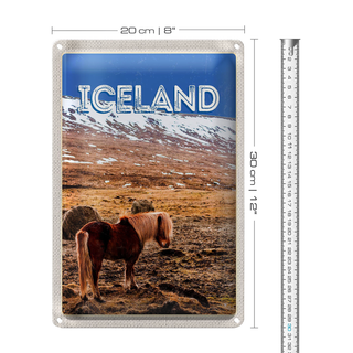Blechschild Reise 20x30cm Iceland Pony icelandic horse