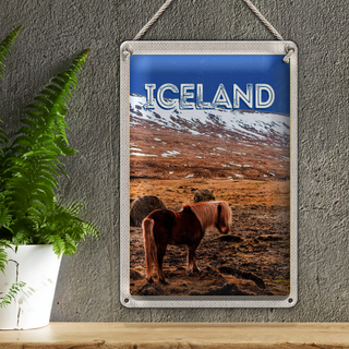 Blechschild Reise 20x30cm Iceland Pony icelandic horse