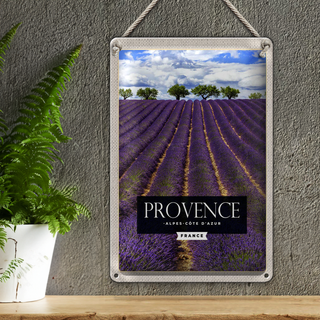Blechschild Reise 20x30cm provence alpes cote d'azur Lavendel