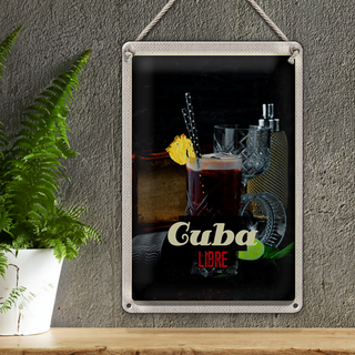 Blechschild Reise 20x30cm Cuba Karibik Urlaub Getränke Libre