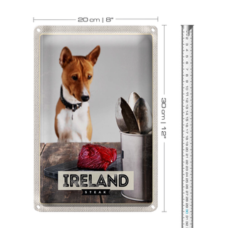 Blechschild Reise 20x30cm Irland Europa Steak Hund Insel