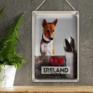 Blechschild Reise 20x30cm Irland Europa Steak Hund Insel