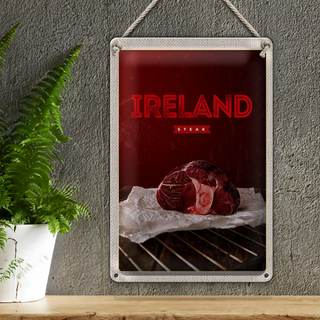 Blechschild Reise 20x30cm Irland bestes rotes Steak im Ofen