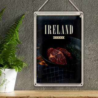 Blechschild Reise 20x30cm Irland Steak angebraten Pfeffer