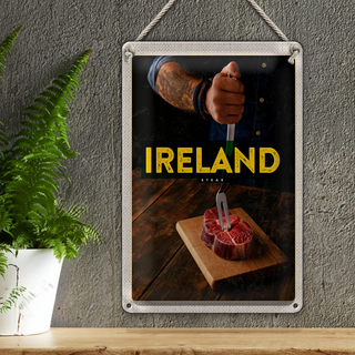 Blechschild Reise 20x30cm Irland irländisches Hereford Steak