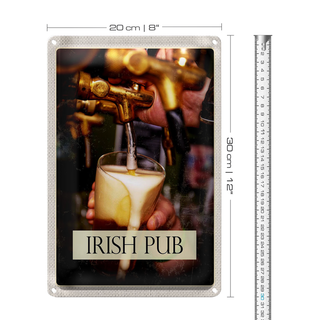 Blechschild Reise 20x30cm Irland Irisches Bier Tradition Alkohol