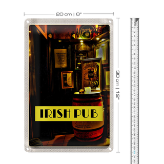 Blechschild Reise 20x30cm Irland Bier Kneipe Gemälde