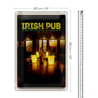 Blechschild Reise 20x30cm Irland Irisches Pub Wein Alkohol