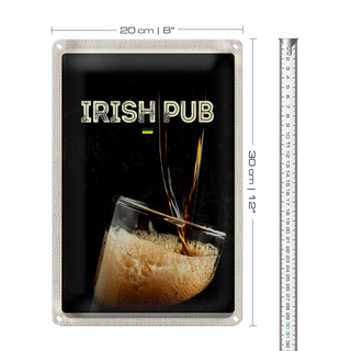 Blechschild Reise 20x30cm Irland Bier feiern