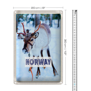 Blechschild Reise 20x30cm Norwegen Hirsch Winterzeit Schnee