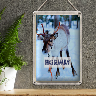 Blechschild Reise 20x30cm Norwegen Hirsch Winterzeit Schnee
