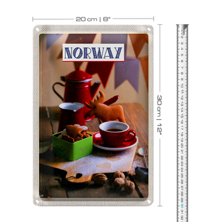 Blechschild Reise 20x30cm Norwegen Winter Hirsch