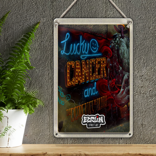 Blechschild Reise 20x30cm Berlin Hauptstadt Deutschland Graffiti