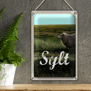 Blechschild Reise 20x30cm Sylt Insel Urlaub Wiese Schaf