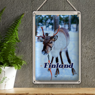 Blechschild Reise 20x30cm Finnland Hirsch Wald kalt Schnee