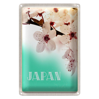 Blechschild Reise 20x30cm Japan Asien Blume weiß rosa Natur