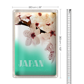Blechschild Reise 20x30cm Japan Asien Blume weiß rosa Natur
