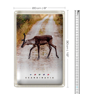 Blechschild Reise 20x30cm Skandinawien Hirsch Natur Weg Urlaub
