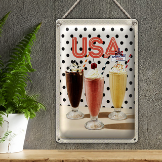 Blechschild Reise 20x30cm Amerika Milchshake Vanille Schokolade