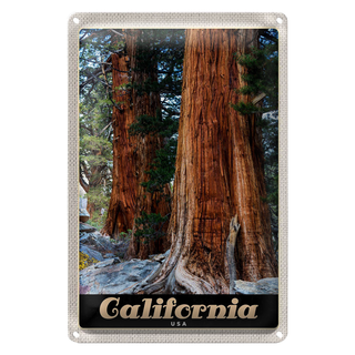 Blechschild Reise 20x30cm California Amerika Natur Wald Bäume
