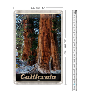 Blechschild Reise 20x30cm California Amerika Natur Wald Bäume