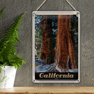Blechschild Reise 20x30cm California Amerika Natur Wald Bäume