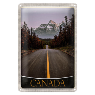Blechschild Reise 20x30cm California Amerika USA Wald Gebirge