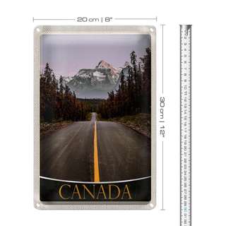 Blechschild Reise 20x30cm California Amerika USA Wald Gebirge